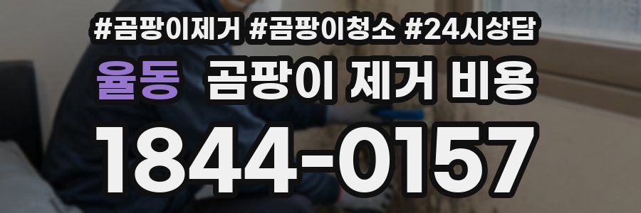 율동 곰팡이 제거 비용