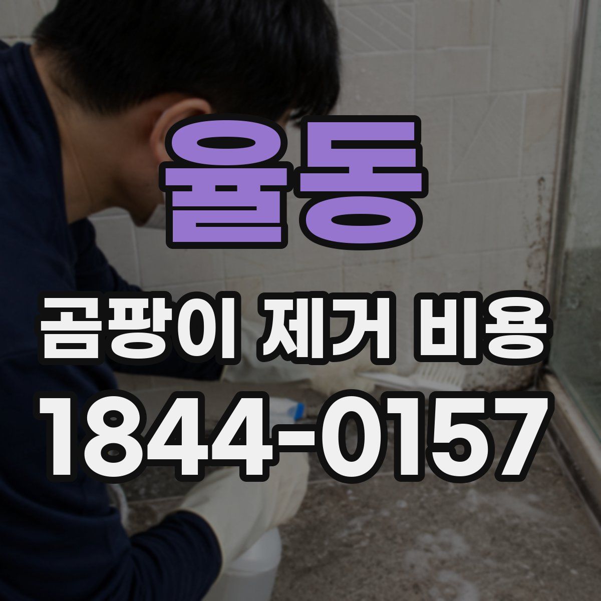율동 곰팡이 제거 비용