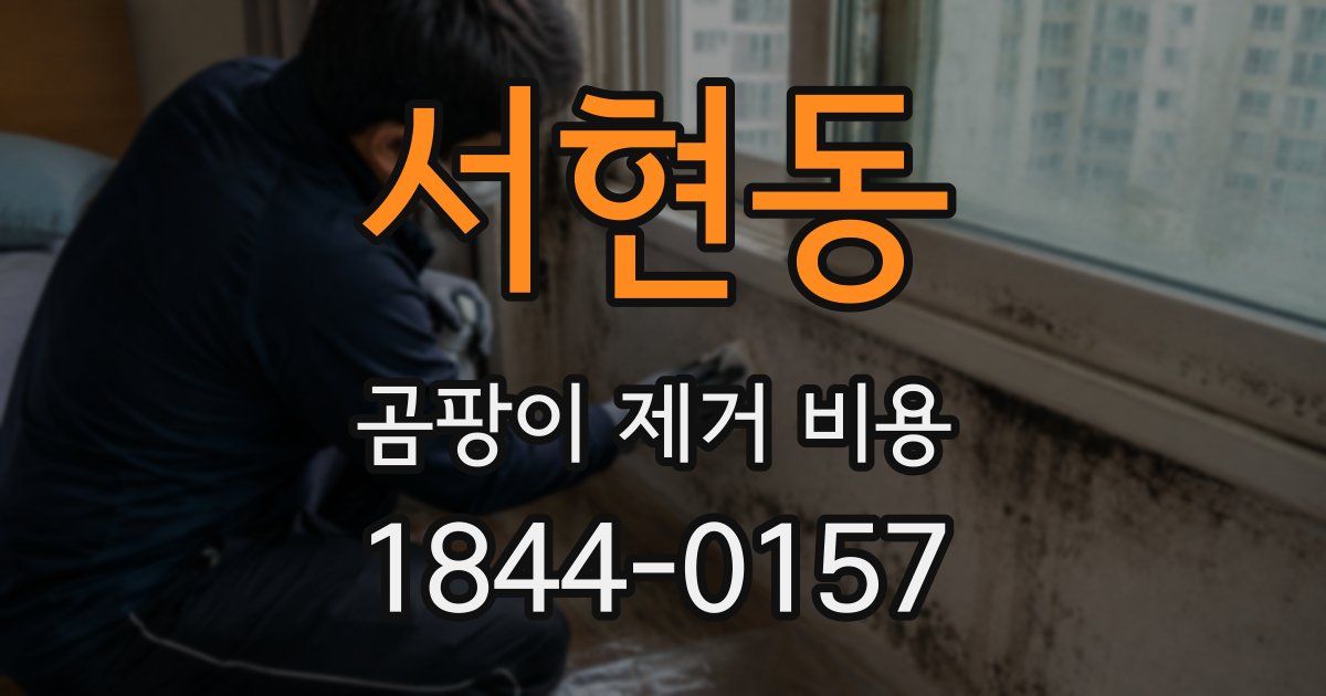 서현동 곰팡이 제거 비용