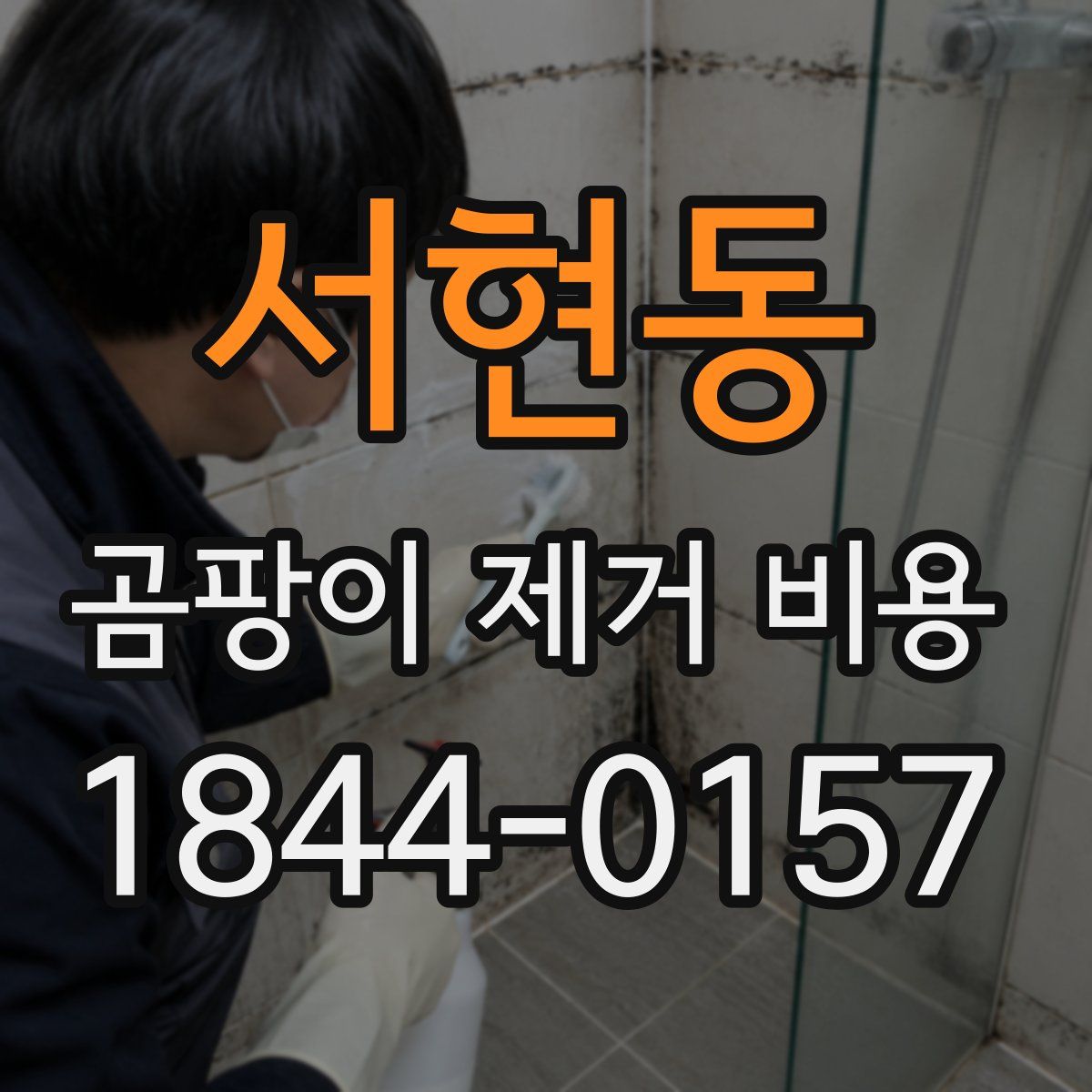 서현동 곰팡이 제거 비용