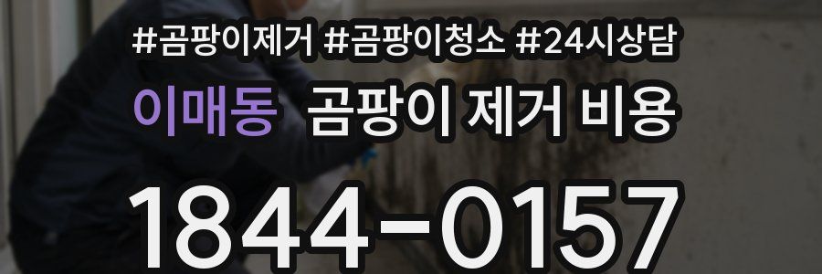 이매동 곰팡이 제거 비용