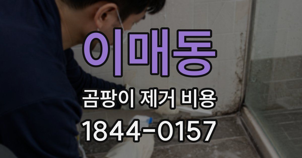 이매동 곰팡이 제거 비용