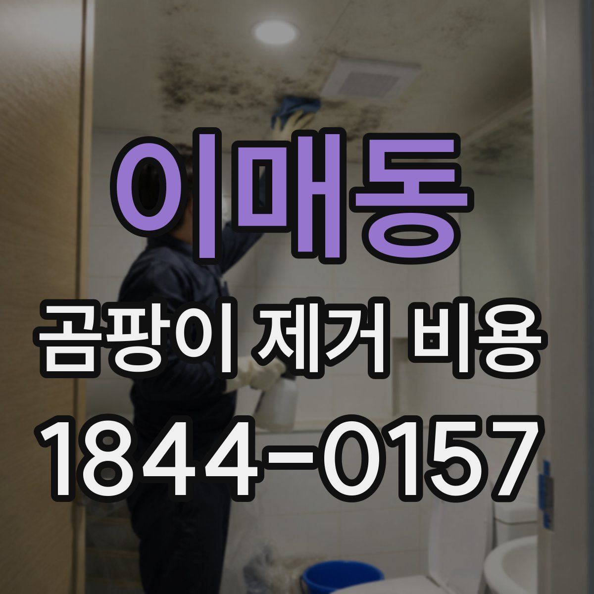 이매동 곰팡이 제거 비용