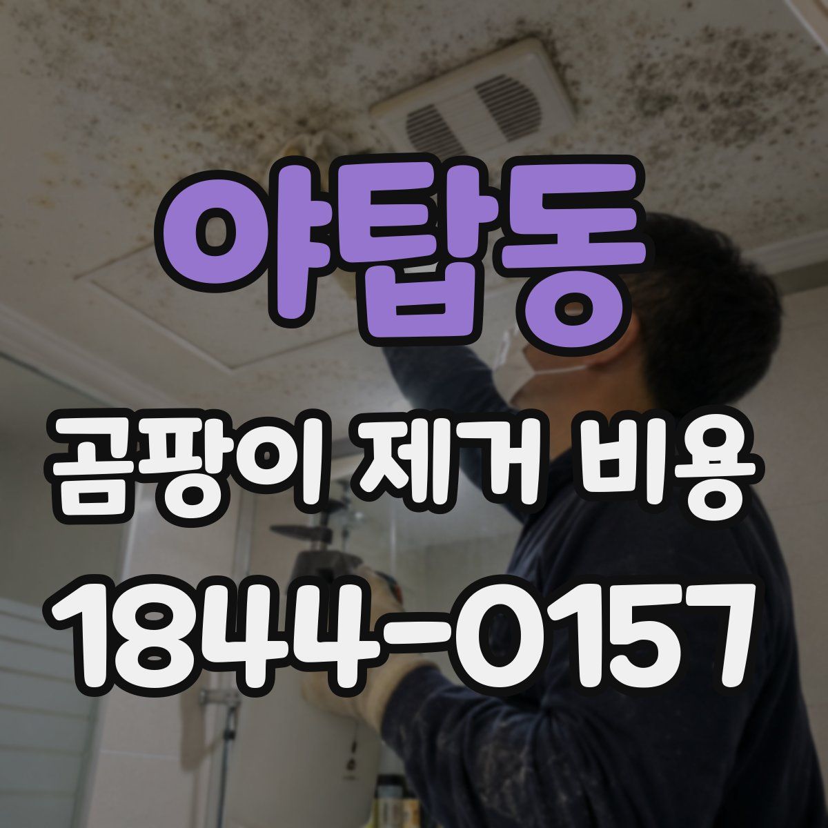 야탑동 곰팡이 제거 비용