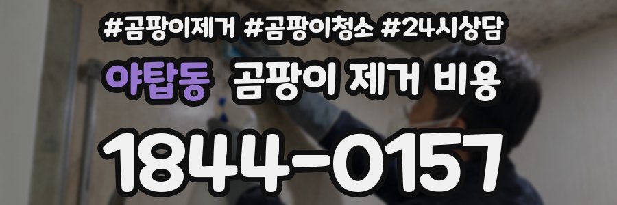야탑동 곰팡이 제거 비용