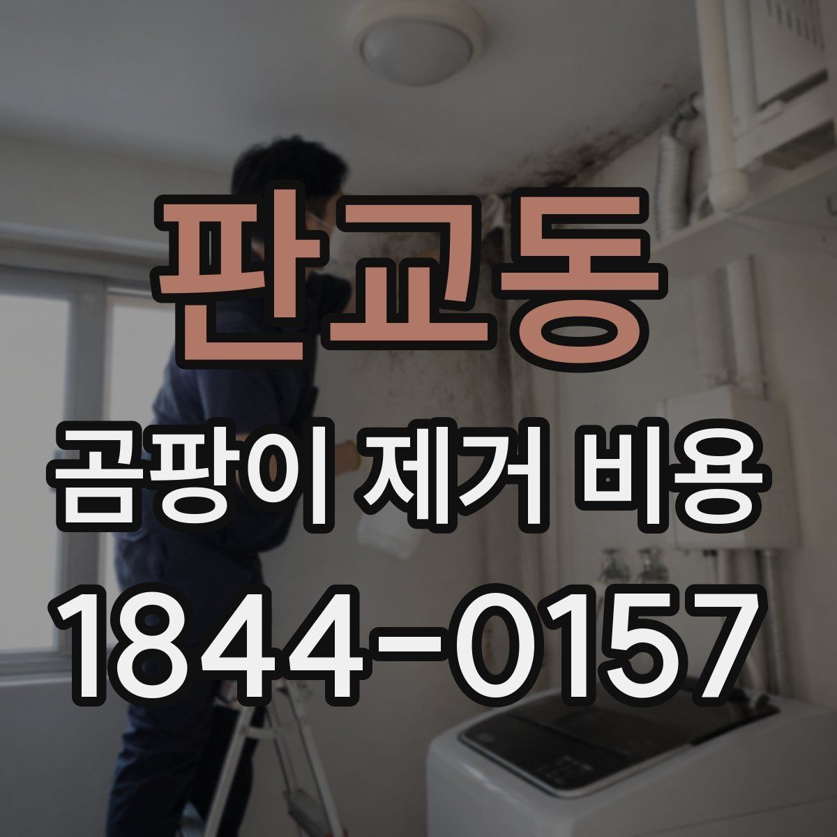 판교동 곰팡이 제거 비용 가전제품 주변 오염 처리 기준 알아보기