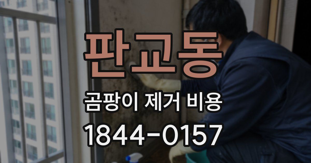 판교동 곰팡이 제거 비용