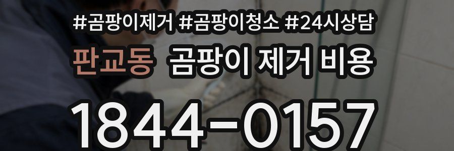 판교동 곰팡이 제거 비용