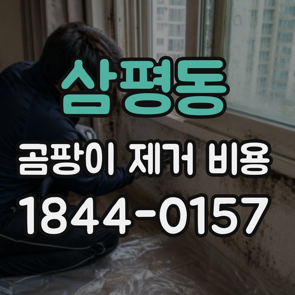 삼평동 곰팡이 제거 비용