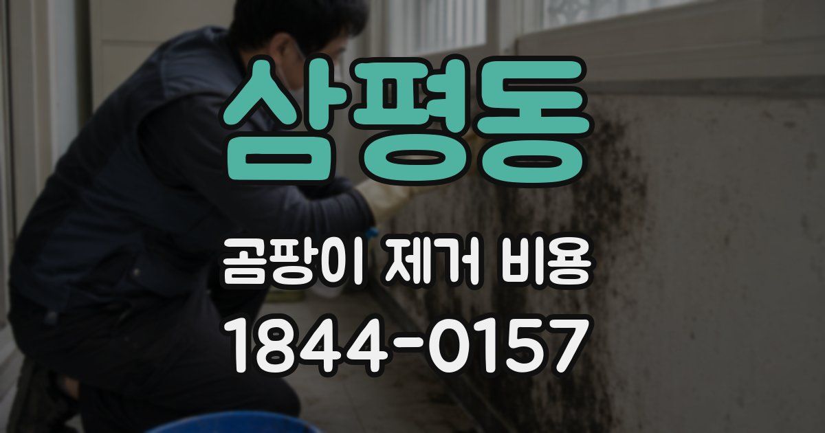 삼평동 곰팡이 제거 비용