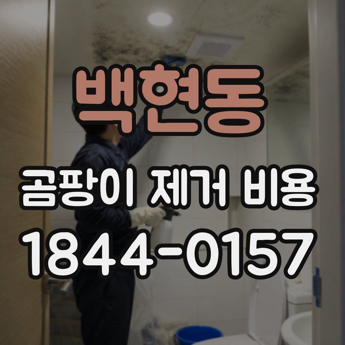 백현동 곰팡이 제거 비용