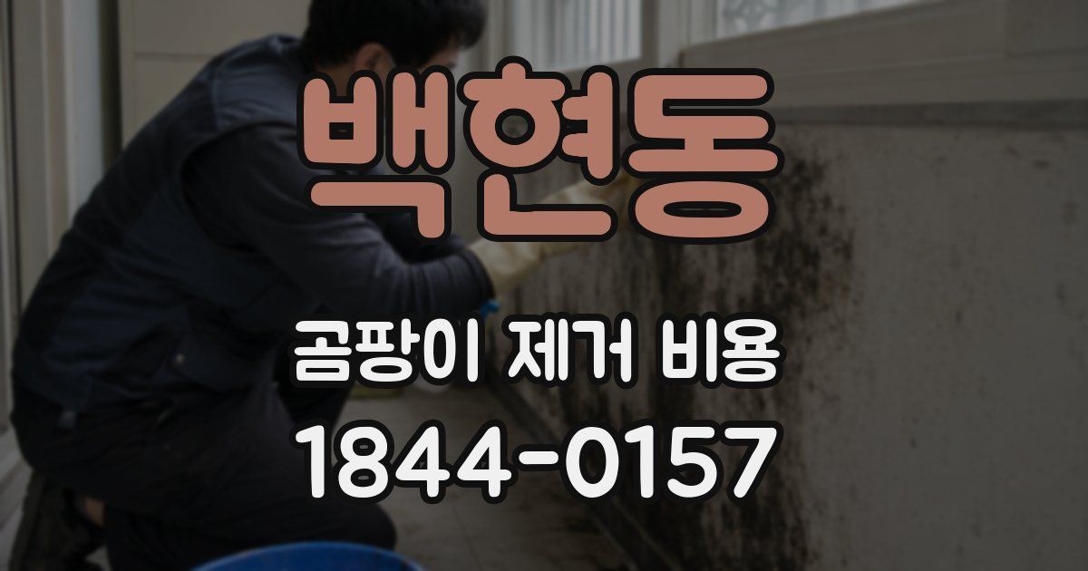 백현동 곰팡이 제거 비용