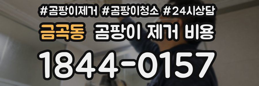금곡동 곰팡이 제거 비용