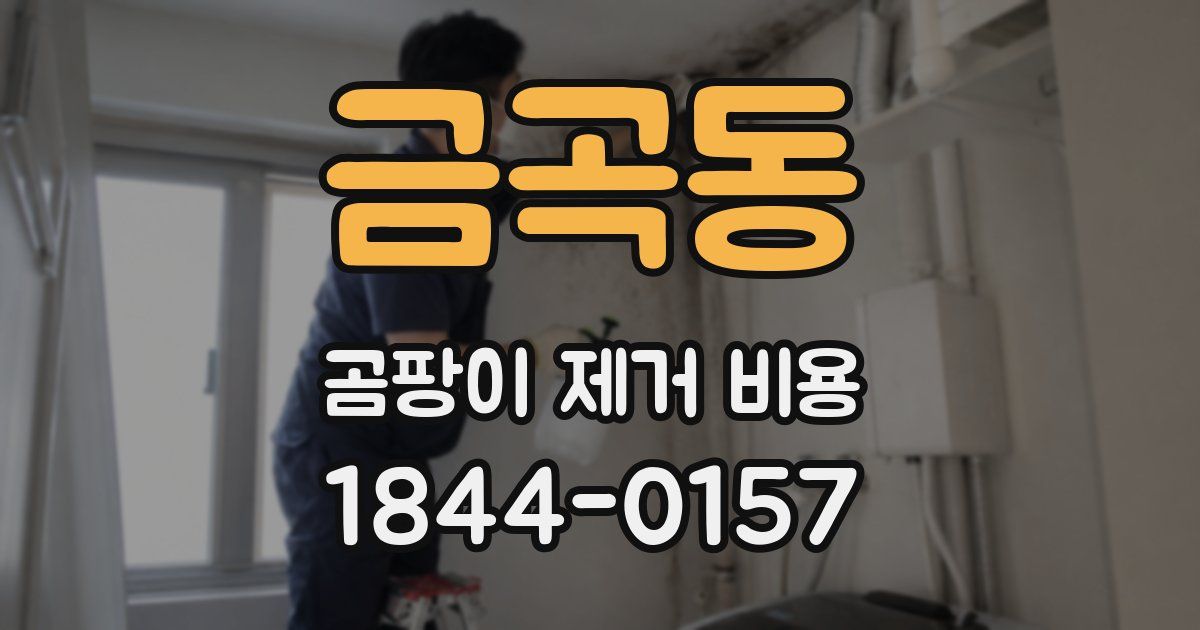 금곡동 곰팡이 제거 비용