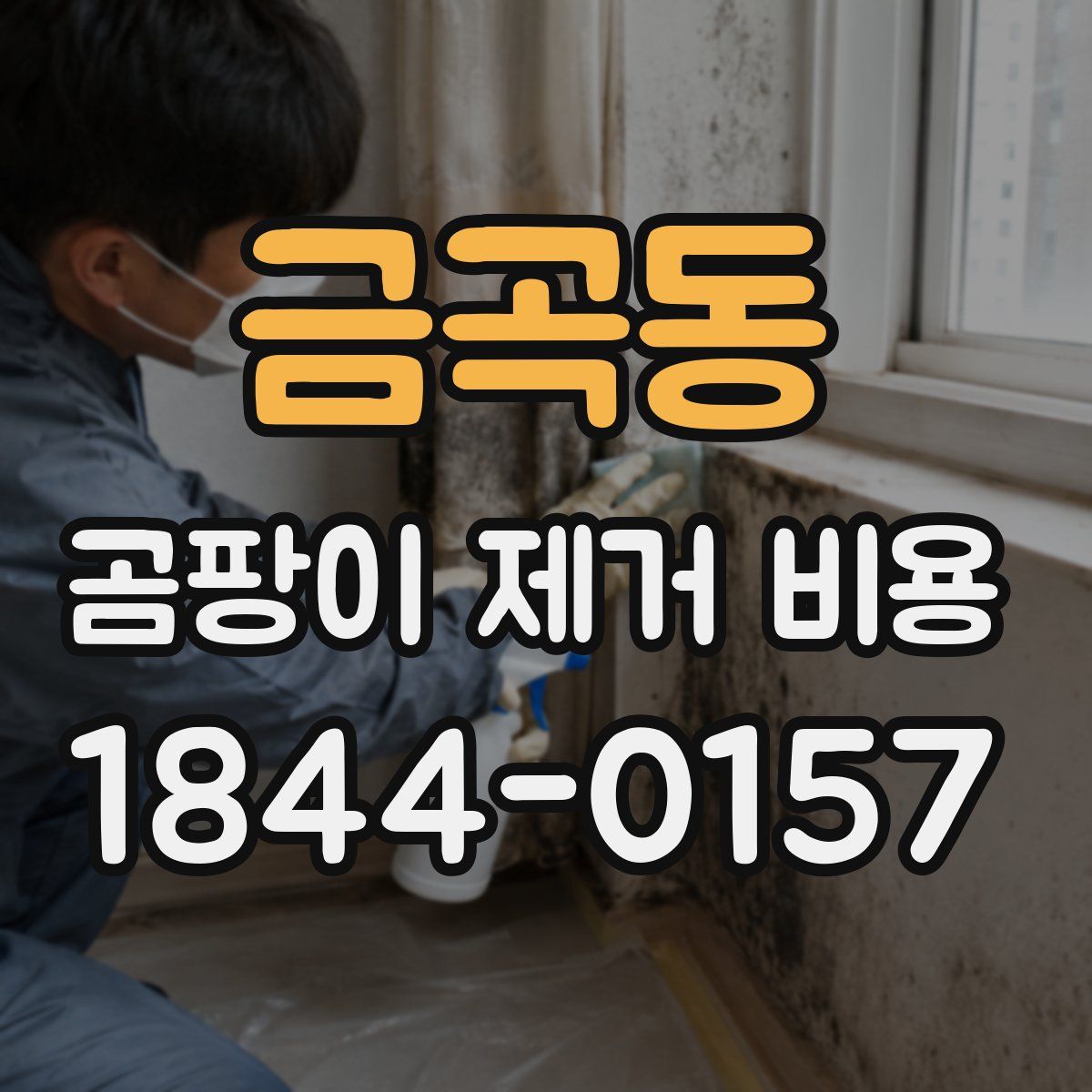금곡동 곰팡이 제거 비용