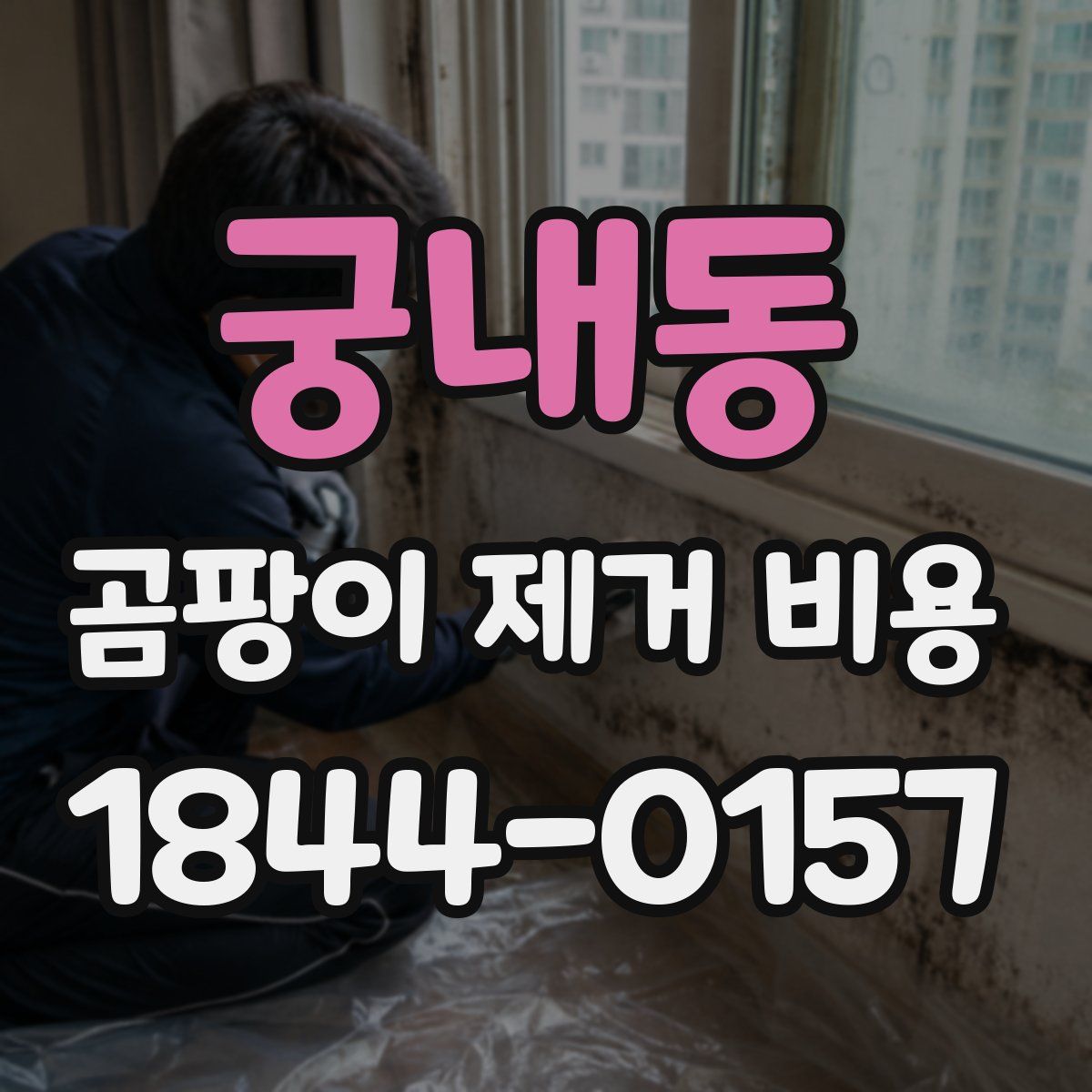 궁내동 곰팡이 제거 비용
