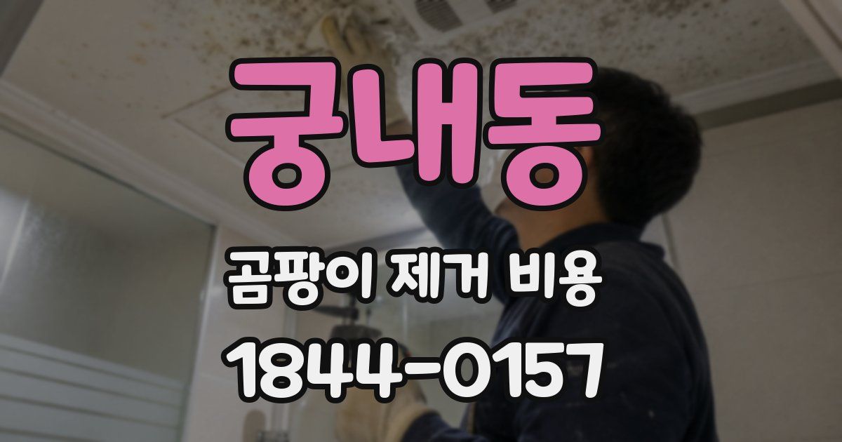 궁내동 곰팡이 제거 비용