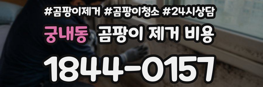 궁내동 곰팡이 제거 비용