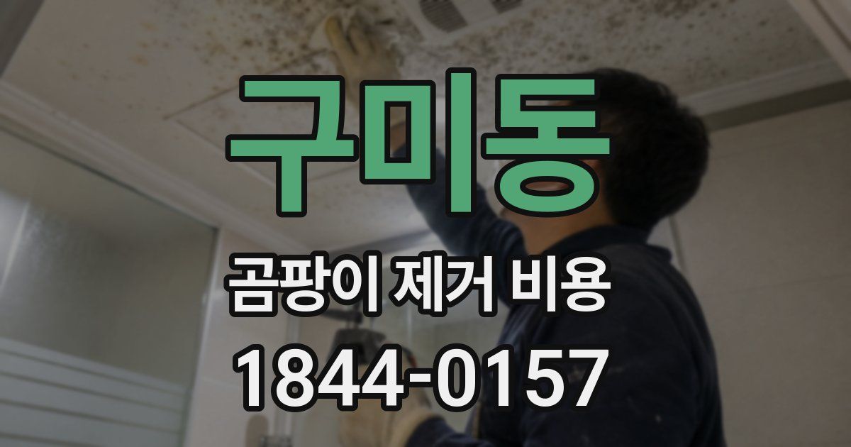 구미동 곰팡이 제거 비용