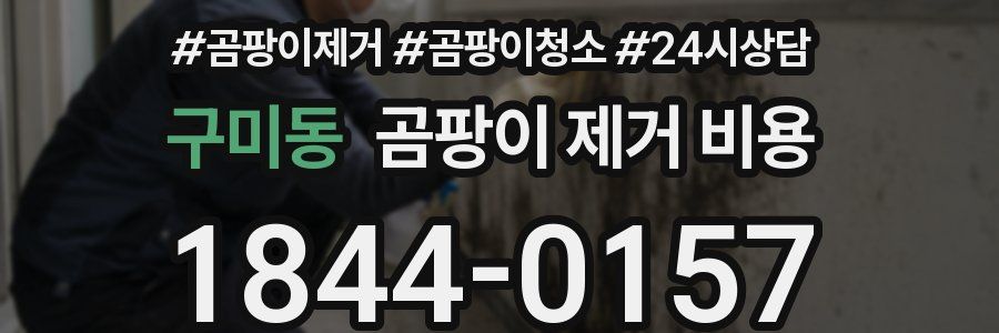 구미동 곰팡이 제거 비용
