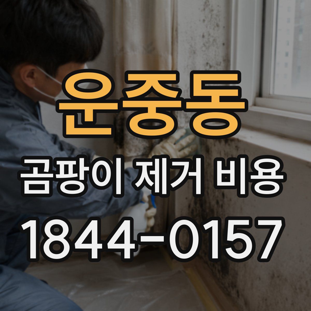 운중동 곰팡이 제거 비용