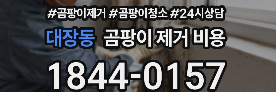 대장동 곰팡이 제거 비용