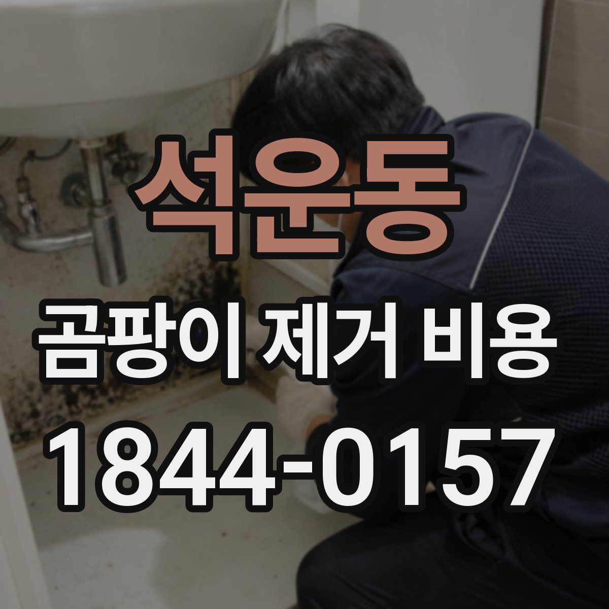 석운동 곰팡이 제거 비용