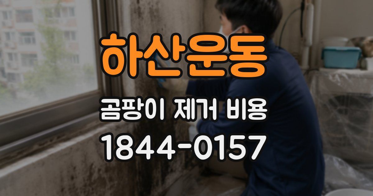 하산운동 곰팡이 제거 비용