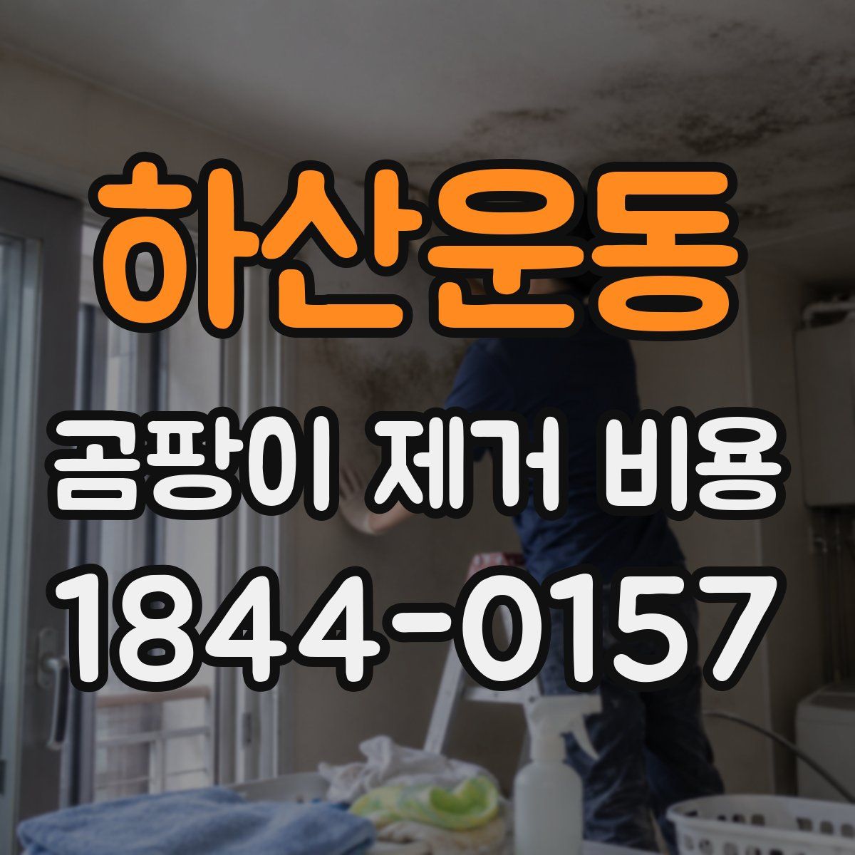 하산운동 곰팡이 제거 비용