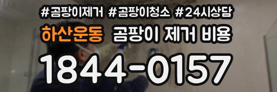 하산운동 곰팡이 제거 비용