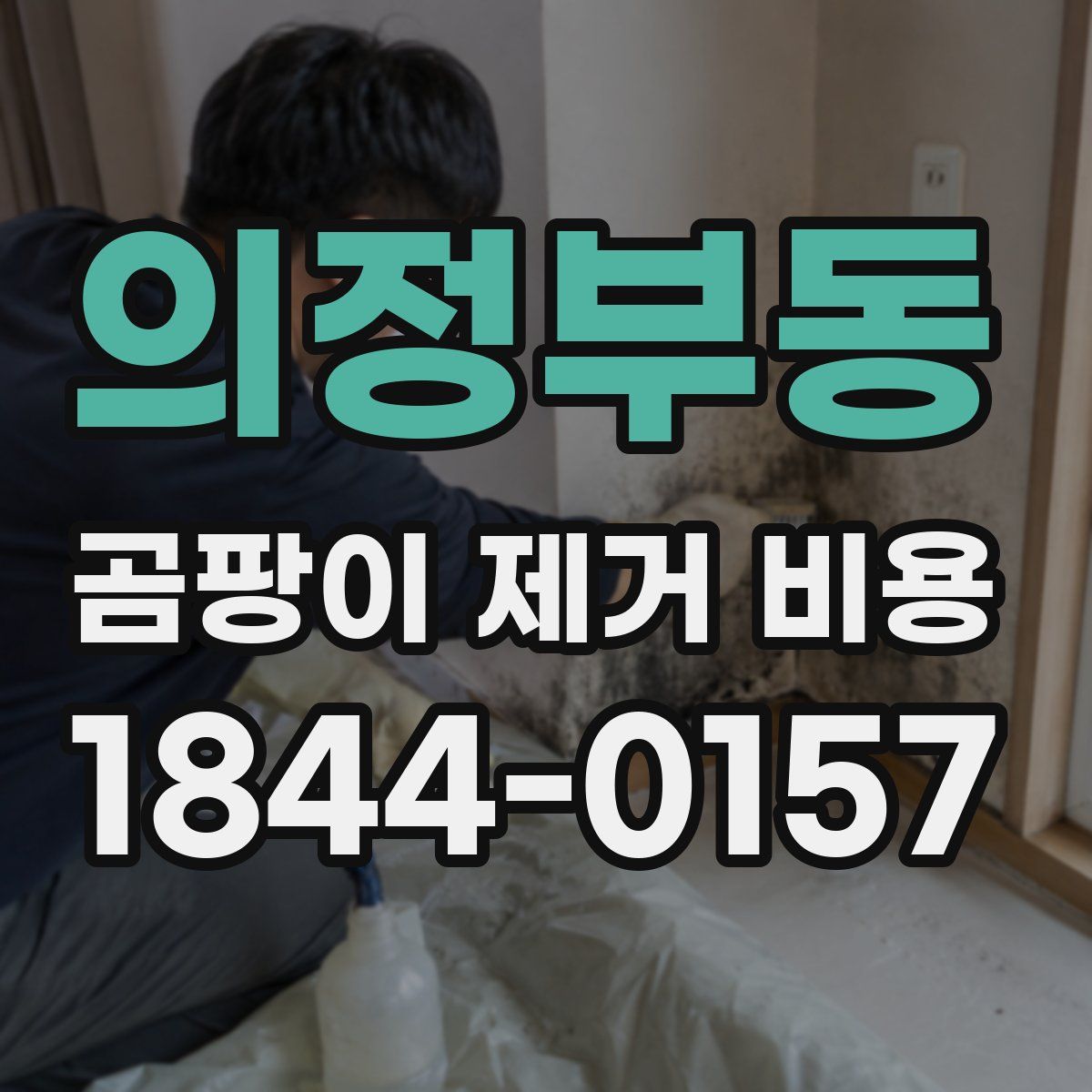 의정부동 곰팡이 제거 비용