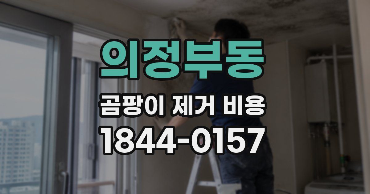 의정부동 곰팡이 제거 비용