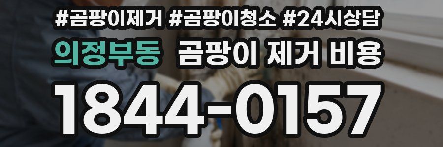 의정부동 곰팡이 제거 비용