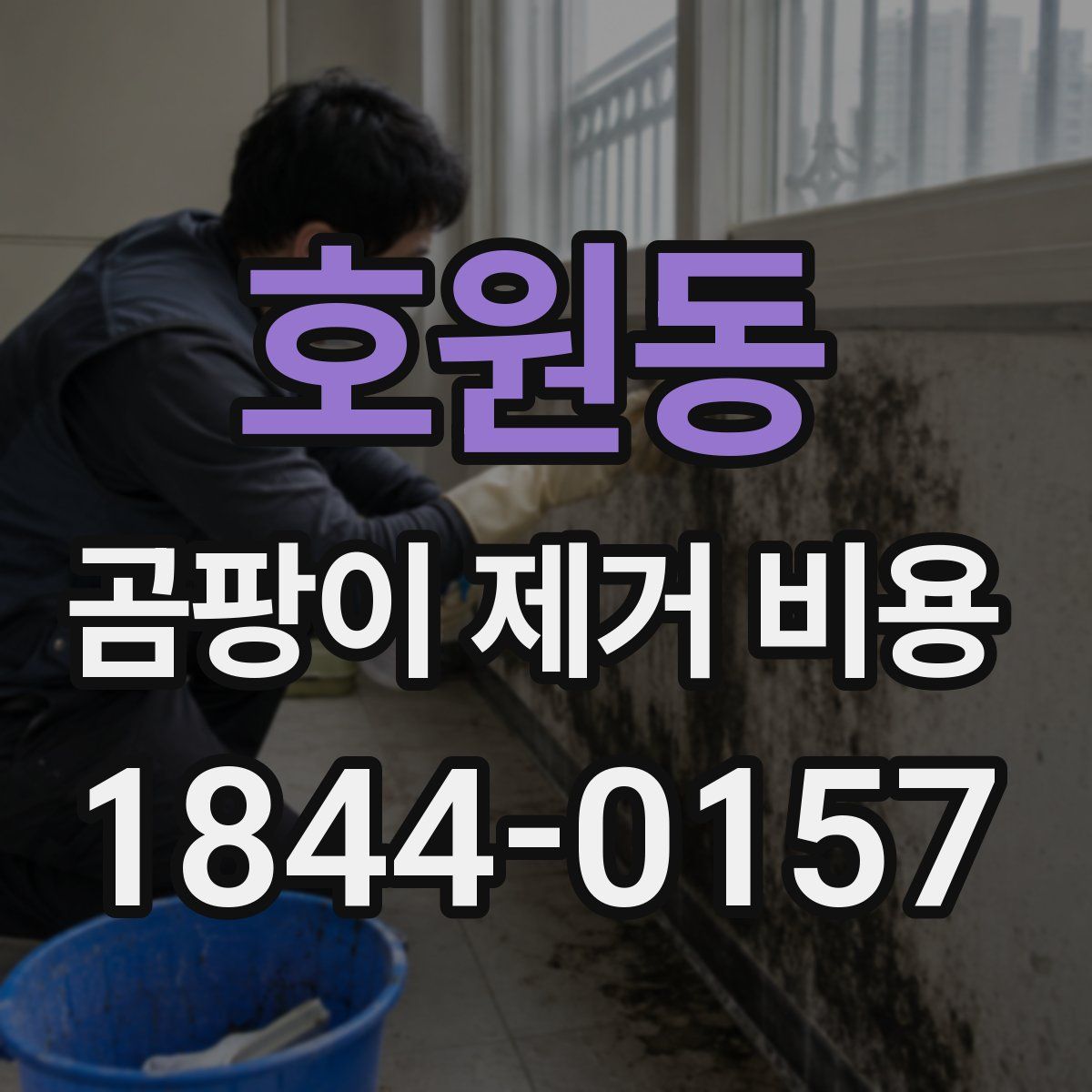 호원동 곰팡이 제거 비용