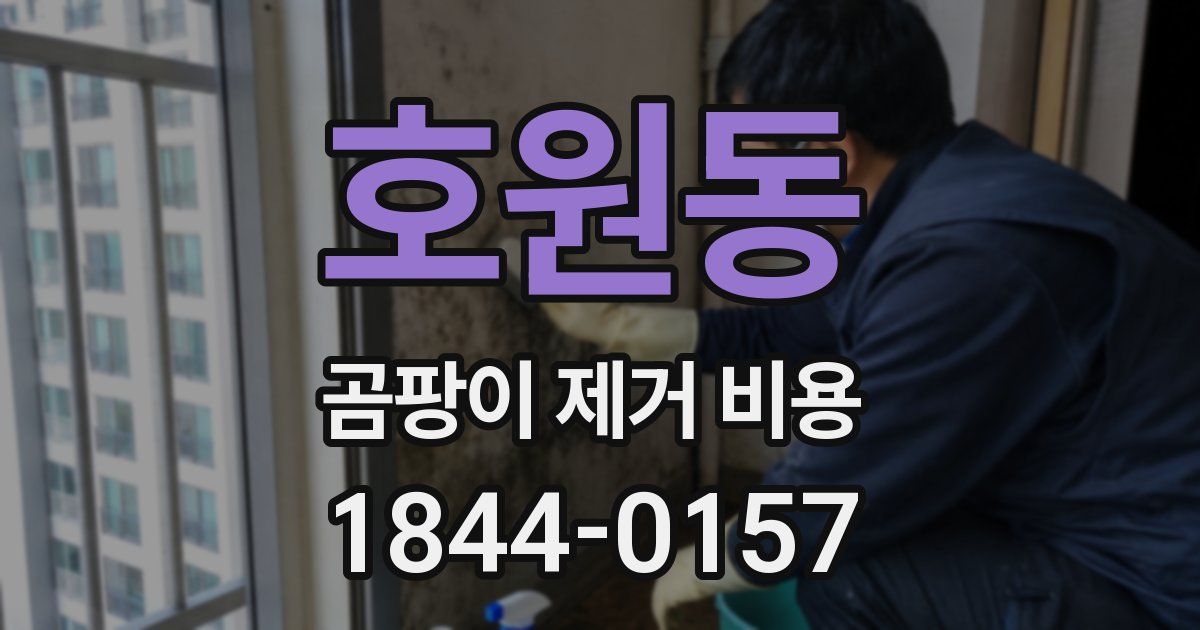 호원동 곰팡이 제거 비용