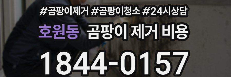 호원동 곰팡이 제거 비용