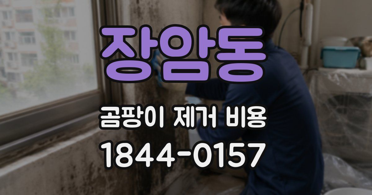 장암동 곰팡이 제거 비용
