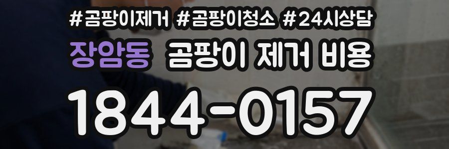 장암동 곰팡이 제거 비용