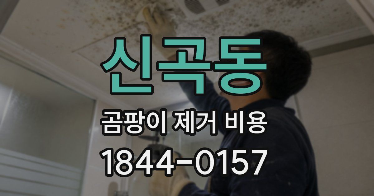 신곡동 곰팡이 제거 비용