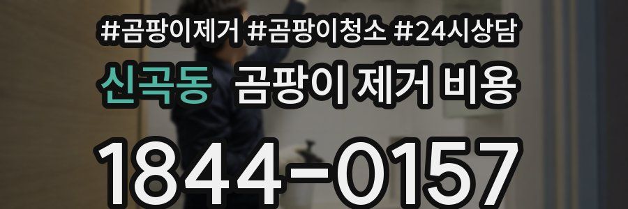 신곡동 곰팡이 제거 비용