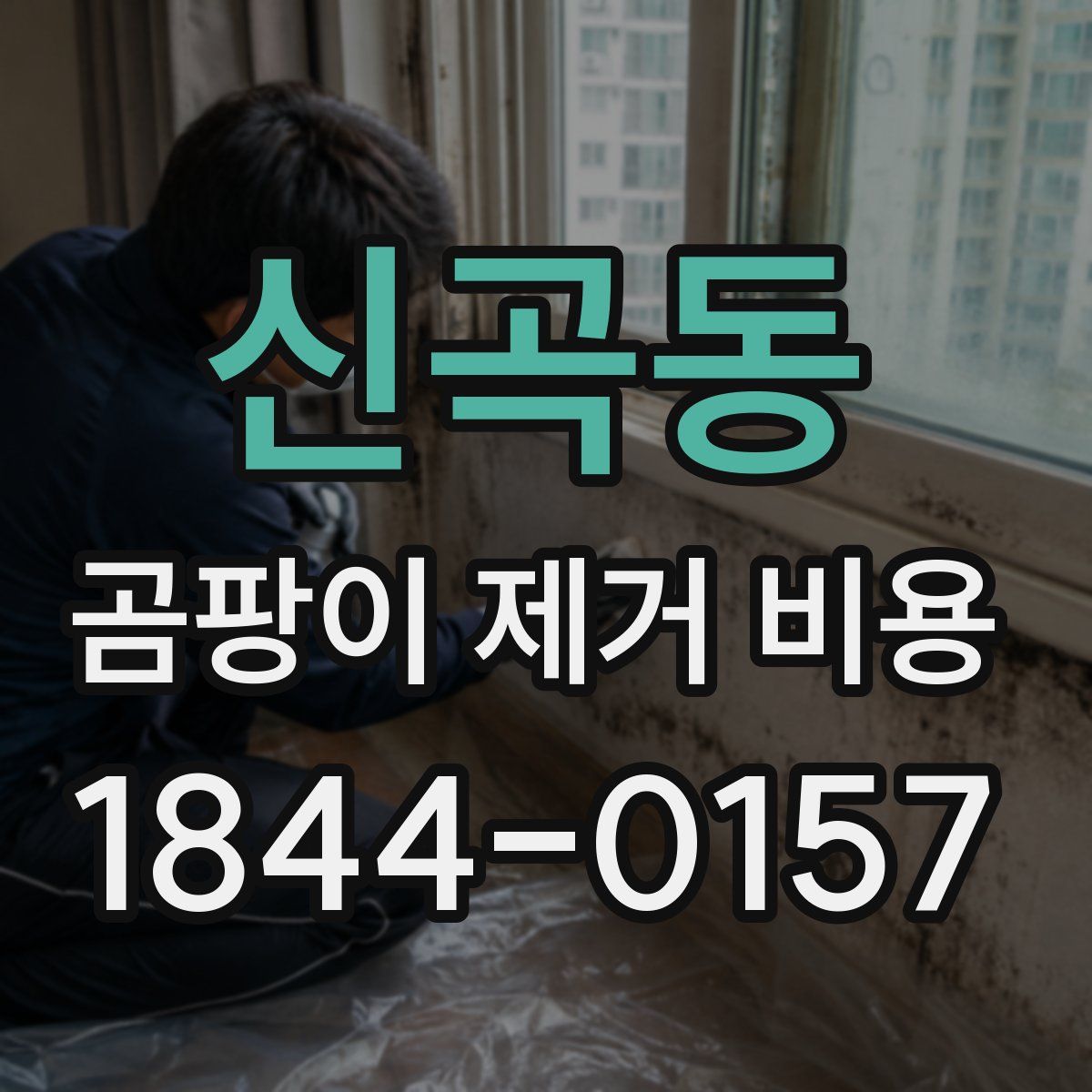 신곡동 곰팡이 제거 비용