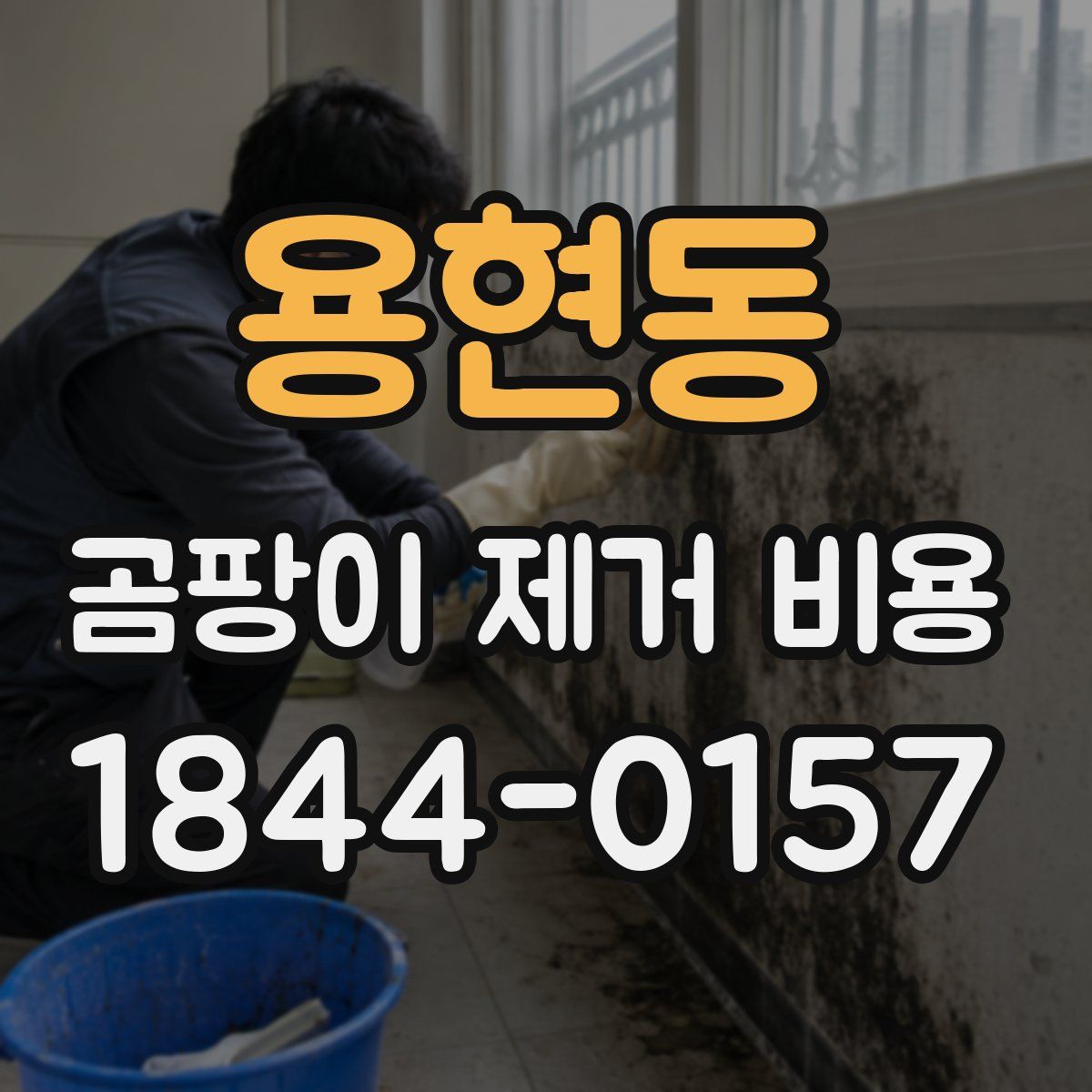 용현동 곰팡이 제거 비용