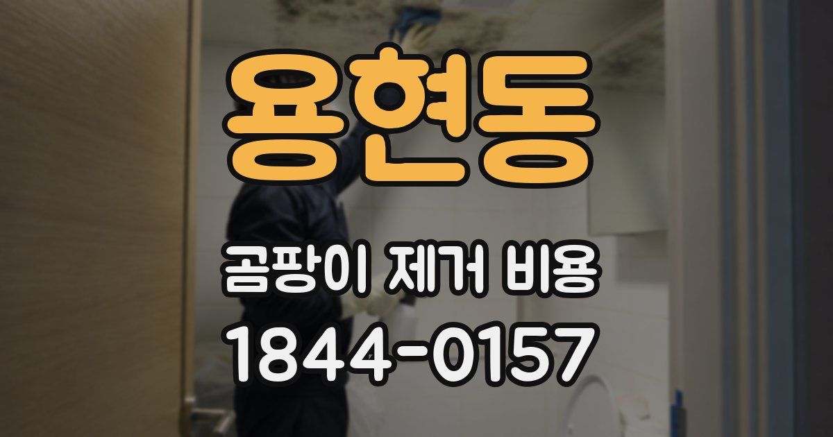 용현동 곰팡이 제거 비용