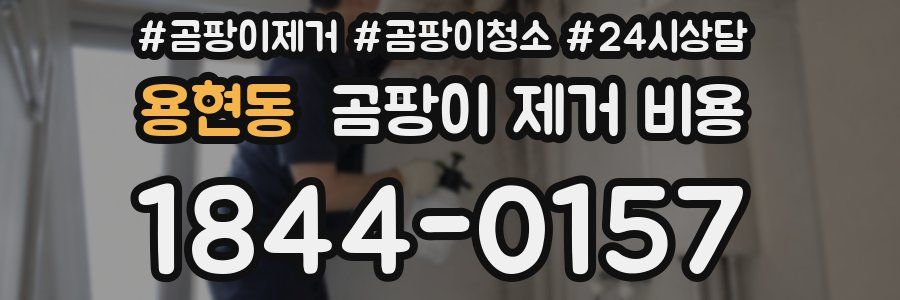 용현동 곰팡이 제거 비용