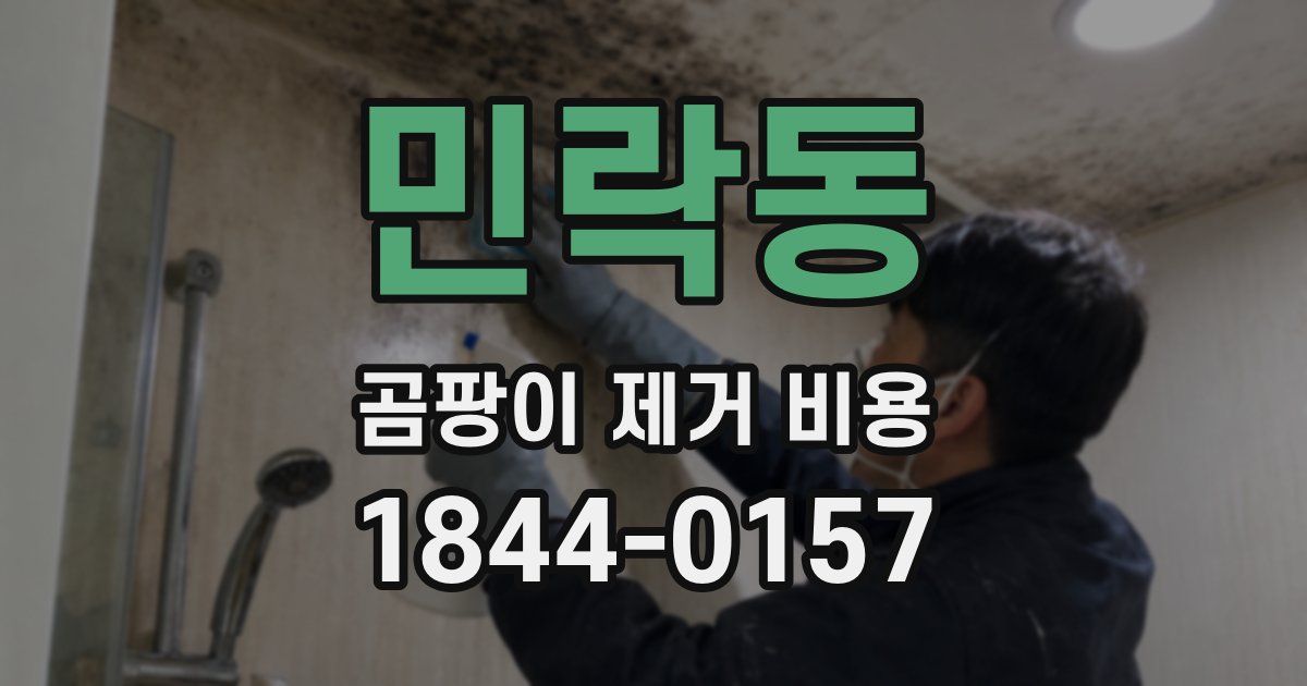민락동 곰팡이 제거 비용