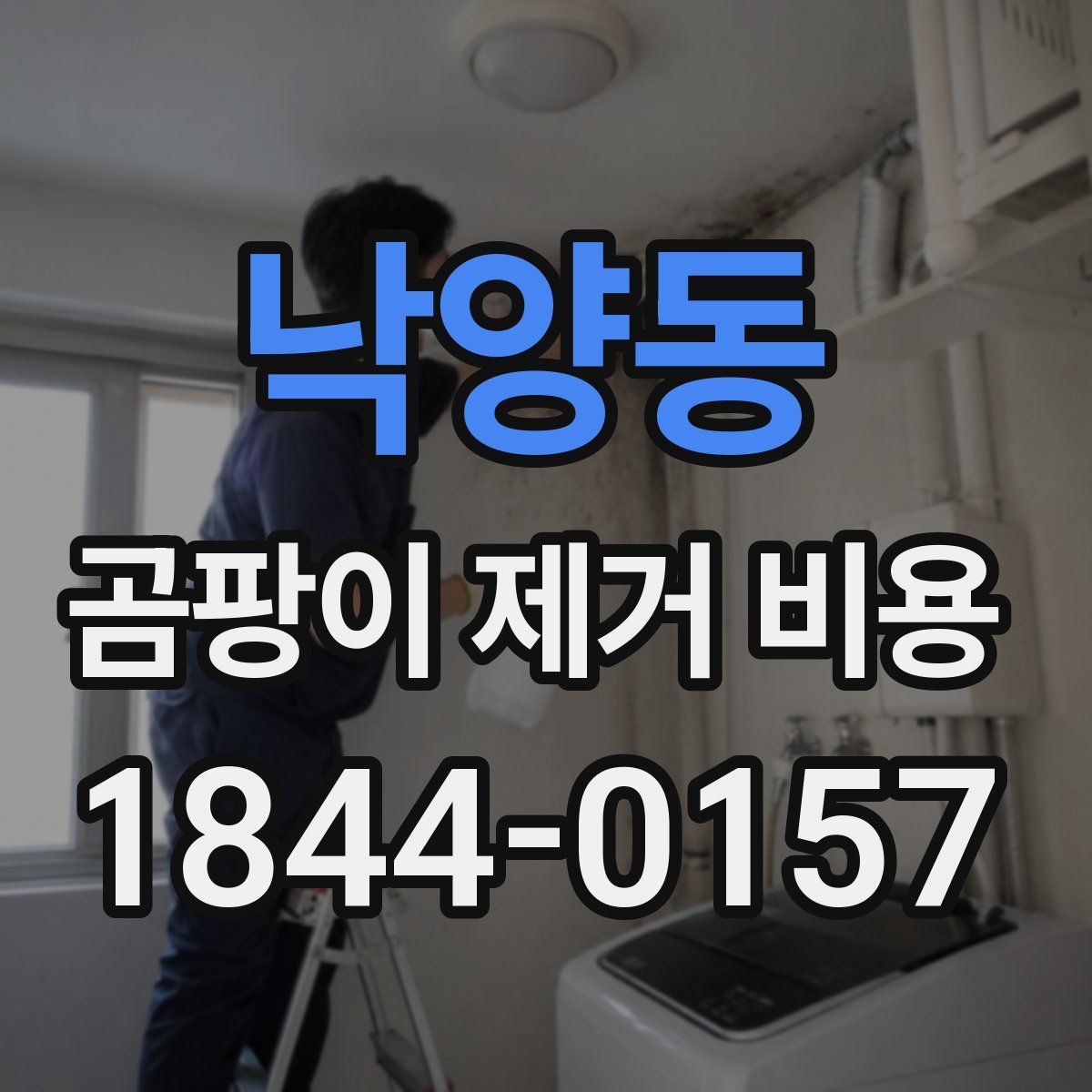낙양동 곰팡이 제거 비용