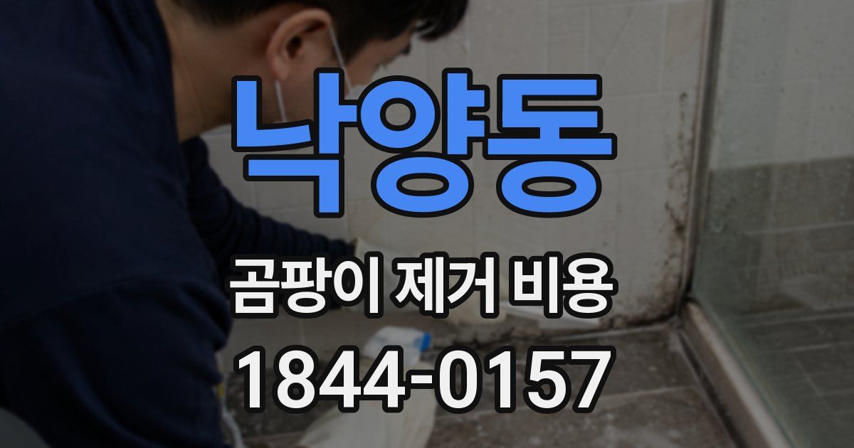 낙양동 곰팡이 제거 비용