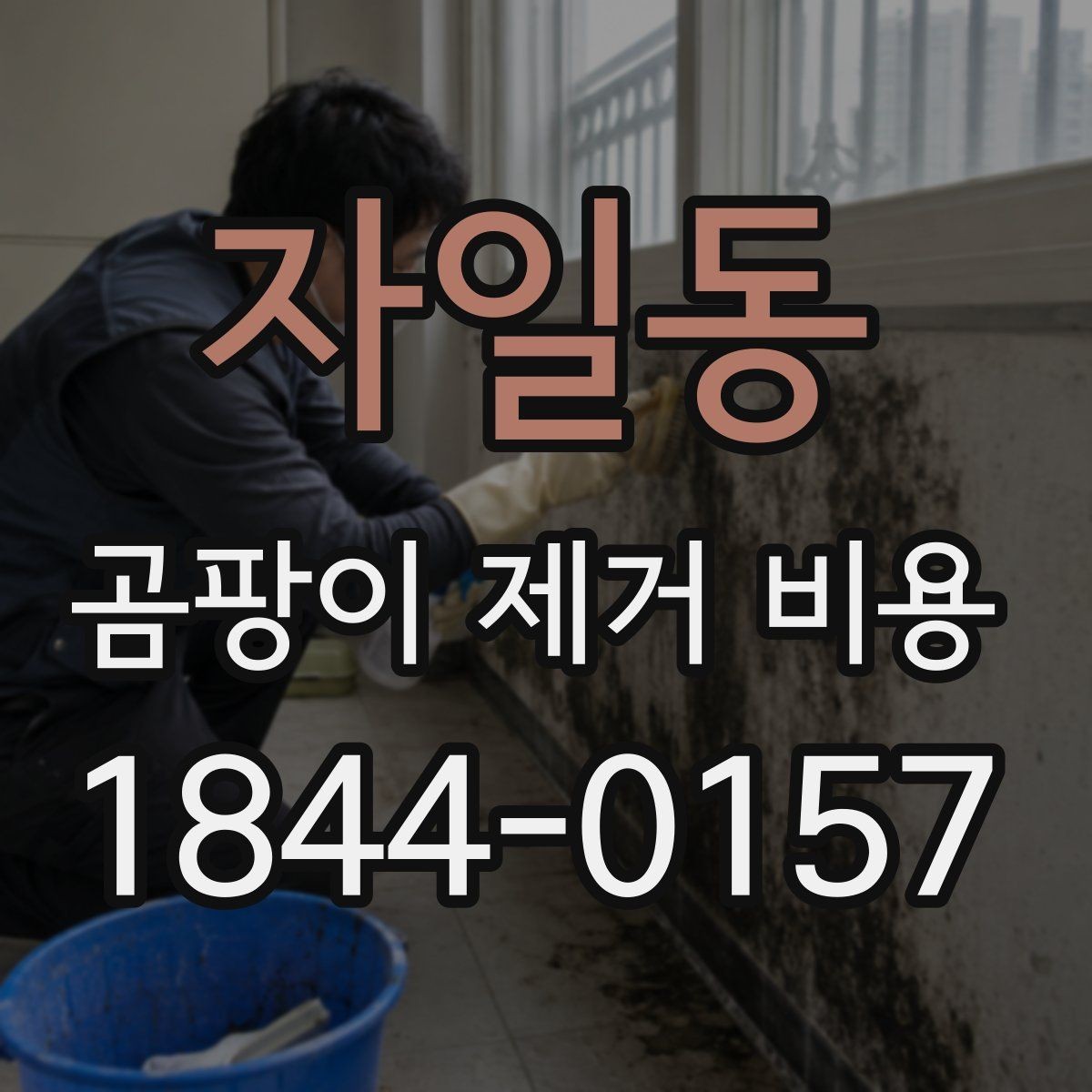 자일동 곰팡이 제거 비용 실측 후 공사 내역이 달라지는 사례