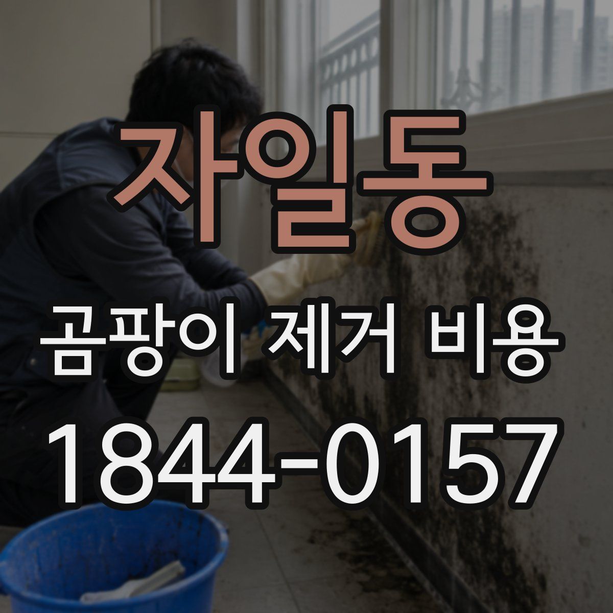 자일동 곰팡이 제거 비용