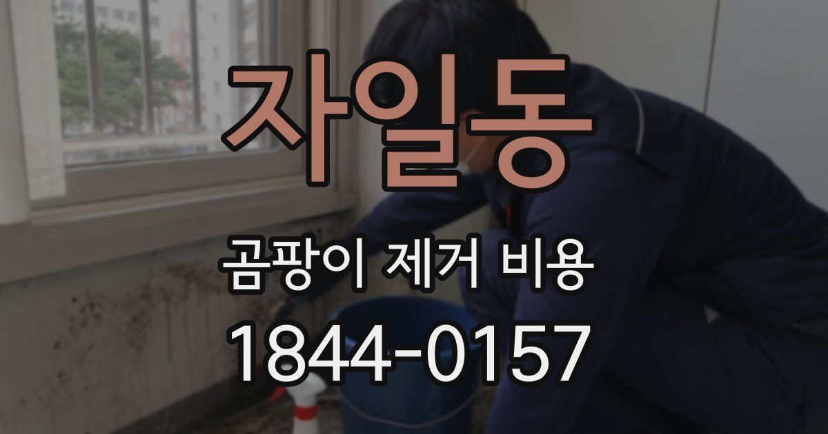 자일동 곰팡이 제거 비용